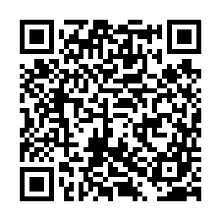 QR code for DPI647