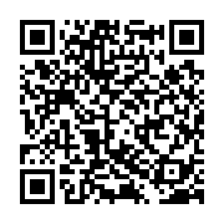QR code for DPI739