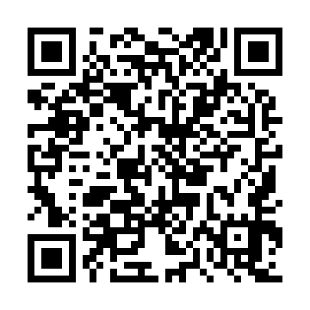 QR code for DPI955