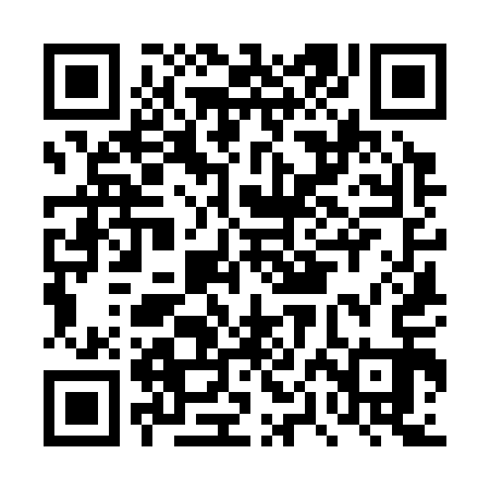 QR code for DPK313