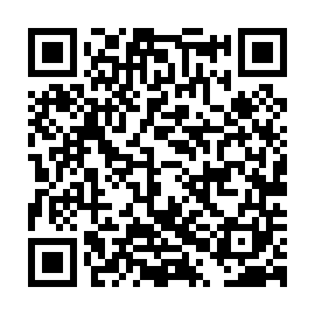 QR code for DPL041