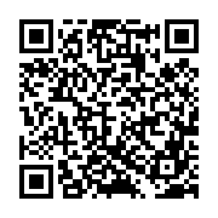 QR code for DPL466