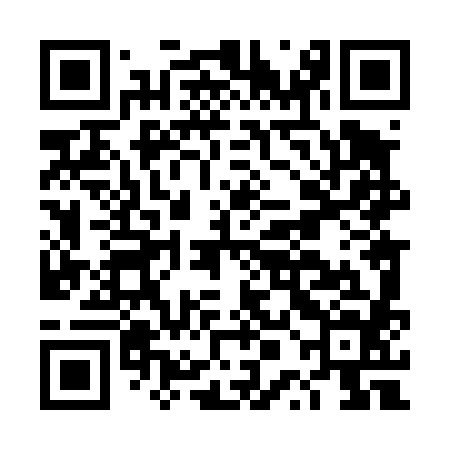 QR code for DPL484