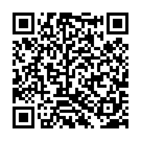 QR code for DPL495