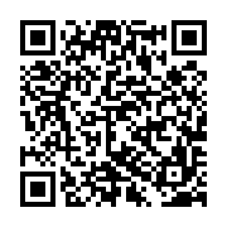 QR code for DPL596
