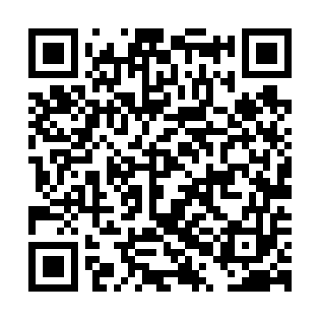 QR code for DPL653