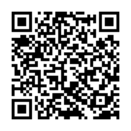 QR code for DPL738