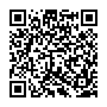 QR code for DPM016
