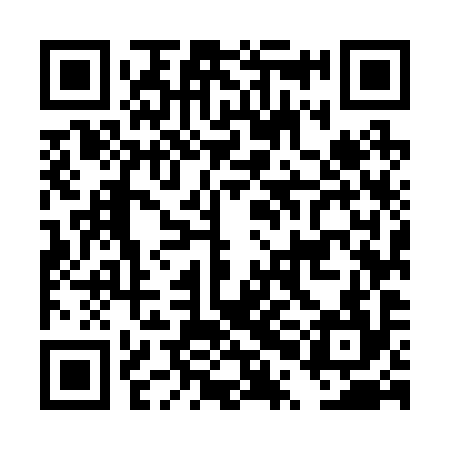 QR code for DPM294