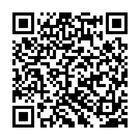 QR code for DPM333