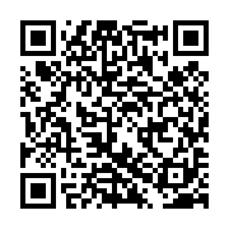 QR code for DPM491