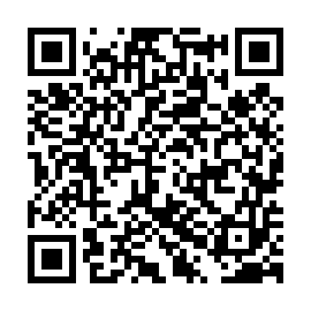 QR code for DPN453
