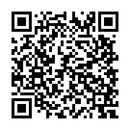 QR code for DPN541