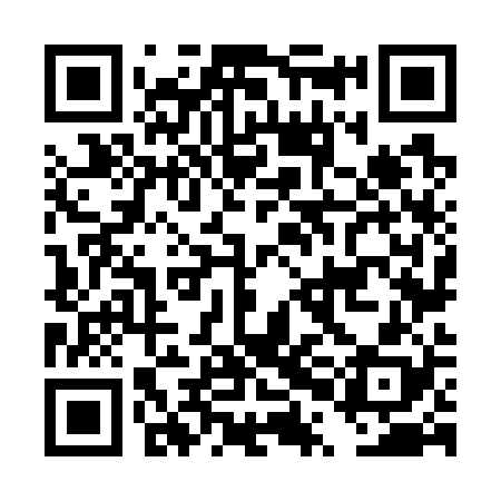QR code for DPN728