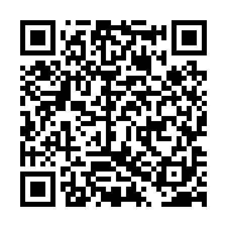 QR code for DPO291