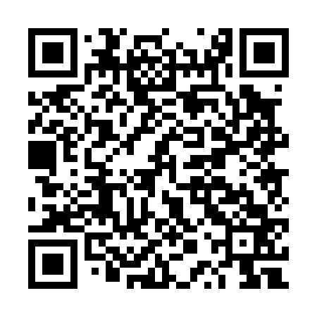QR code for DPP063