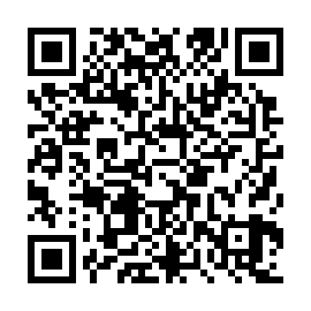 QR code for DPP329