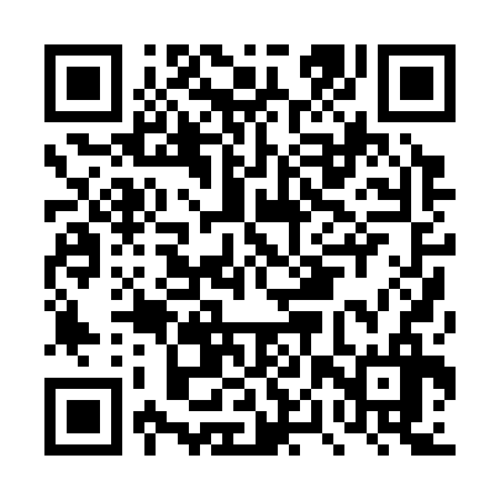 QR code for DPP336