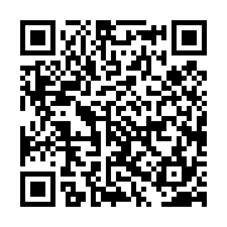 QR code for DPP434