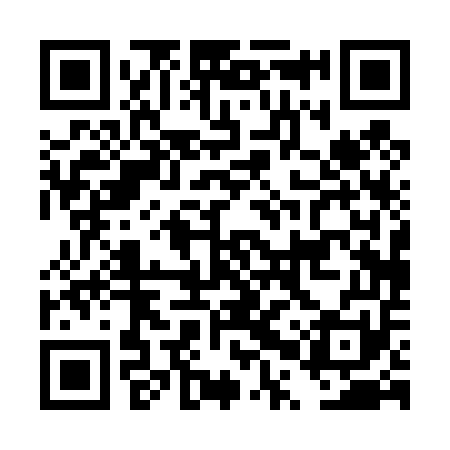 QR code for DPP451
