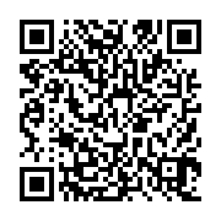 QR code for DPP500