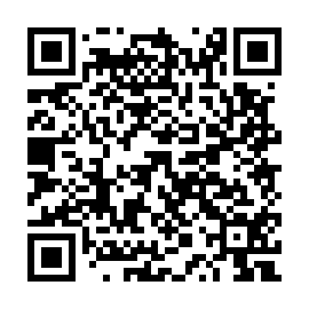 QR code for DPP514
