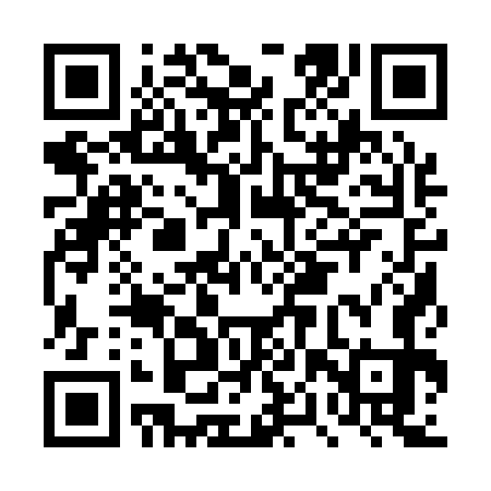 QR code for DPQ173