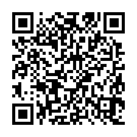 QR code for DPS383