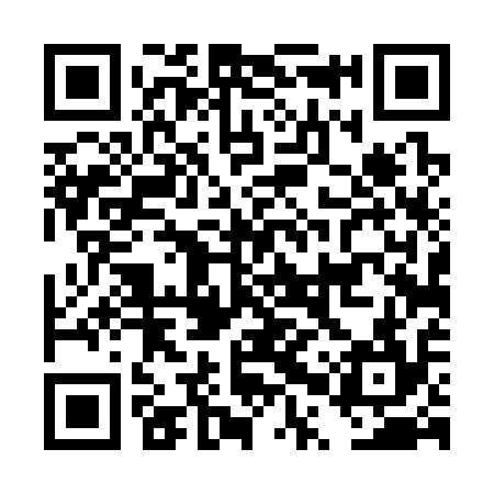 QR code for DPT314
