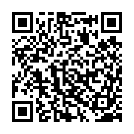 QR code for DPU663