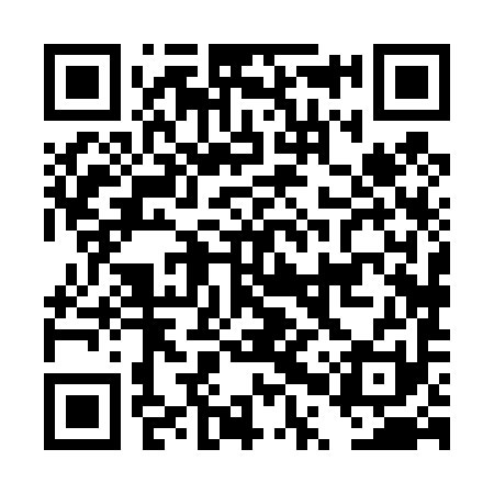 QR code for DPX491