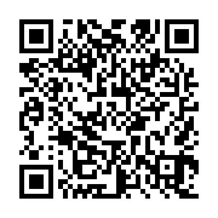 QR code for DPZ141
