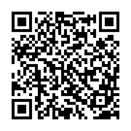QR code for DPZ542