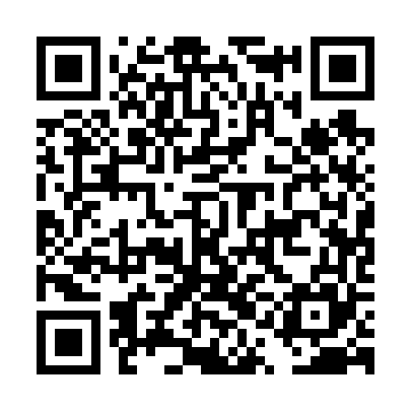QR code for DQA665