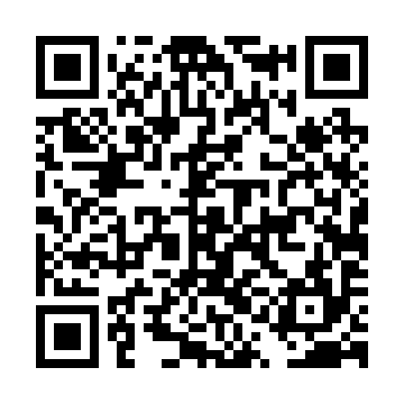 QR code for DQD294