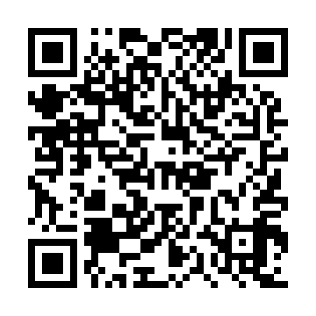QR code for DQD919
