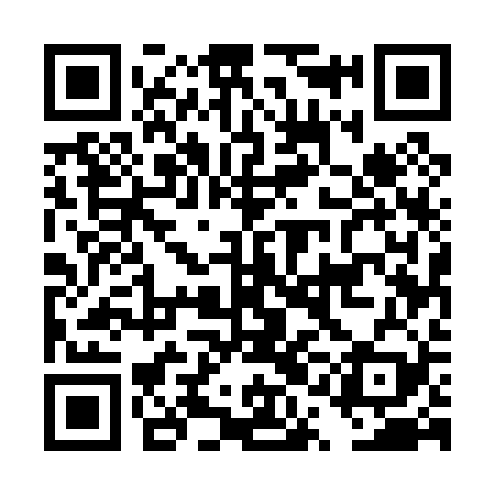 QR code for DQE029