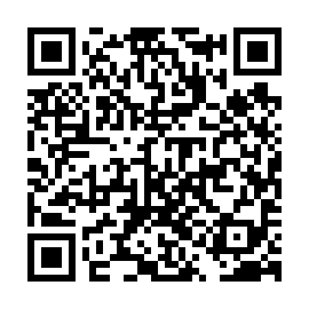 QR code for DQE699