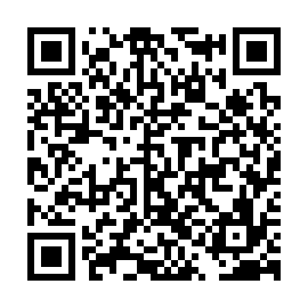 QR code for DQG336