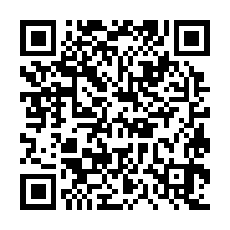 QR code for DQG383