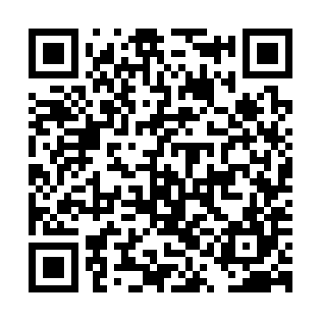 QR code for DQG384