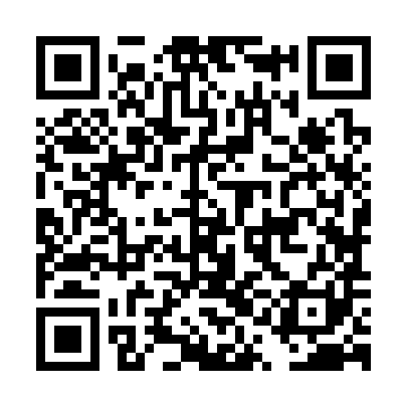 QR code for DQJ381