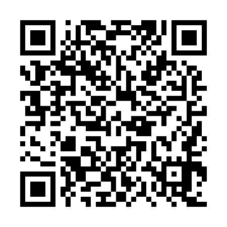QR code for DQJ955