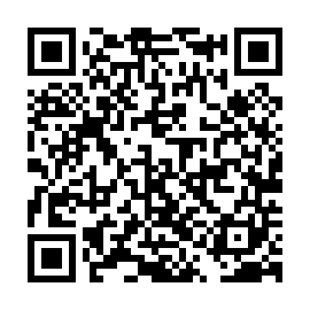 QR code for DQL041