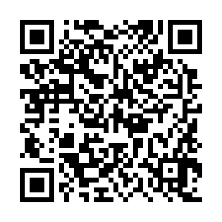 QR code for DQL386
