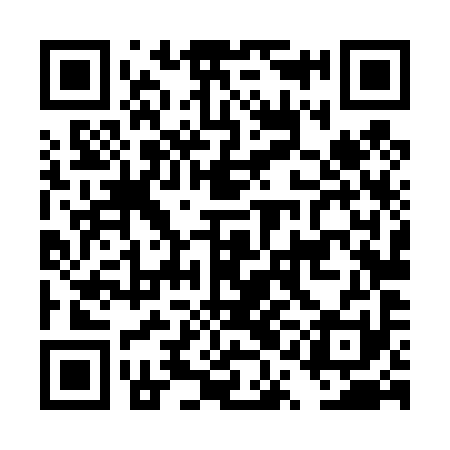 QR code for DQL491
