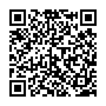 QR code for DQL613