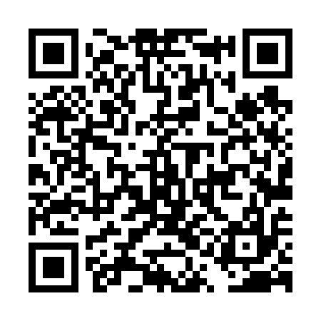 QR code for DQL617