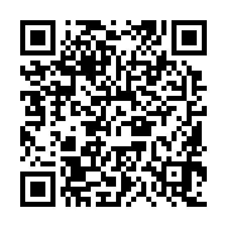 QR code for DQM390