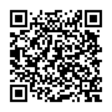 QR code for DQM411